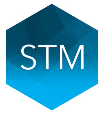 STM Logo